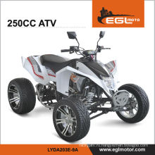 250cc гонки квад Atv 250 ЕЭС